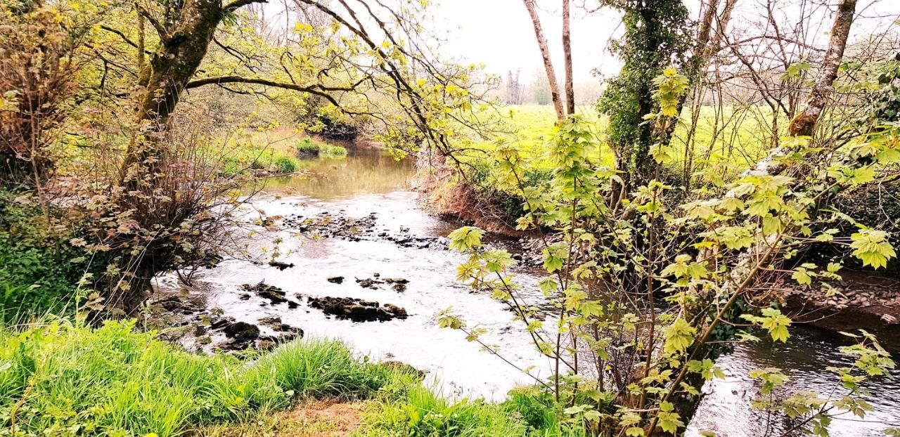 Kingsley Cottage - Beautiful Riverside Setting Beaworthy Экстерьер фото