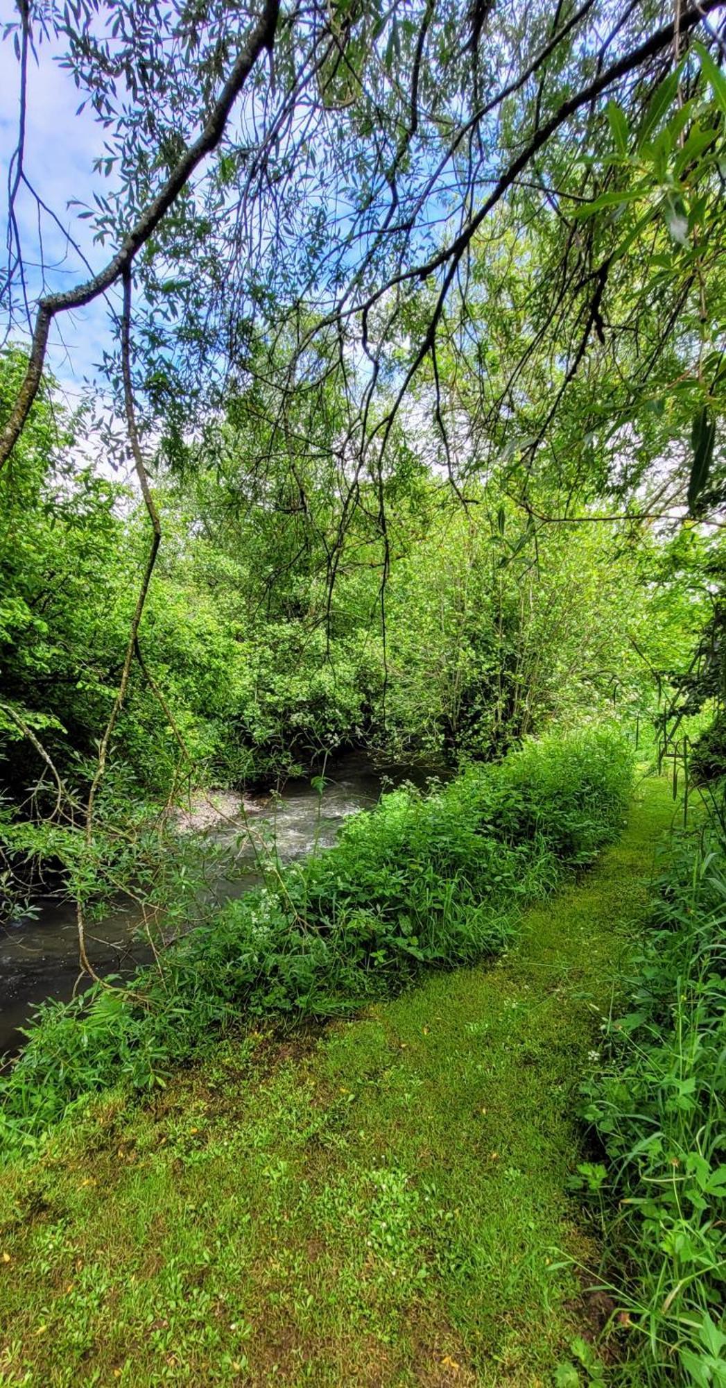 Kingsley Cottage - Beautiful Riverside Setting Beaworthy Экстерьер фото