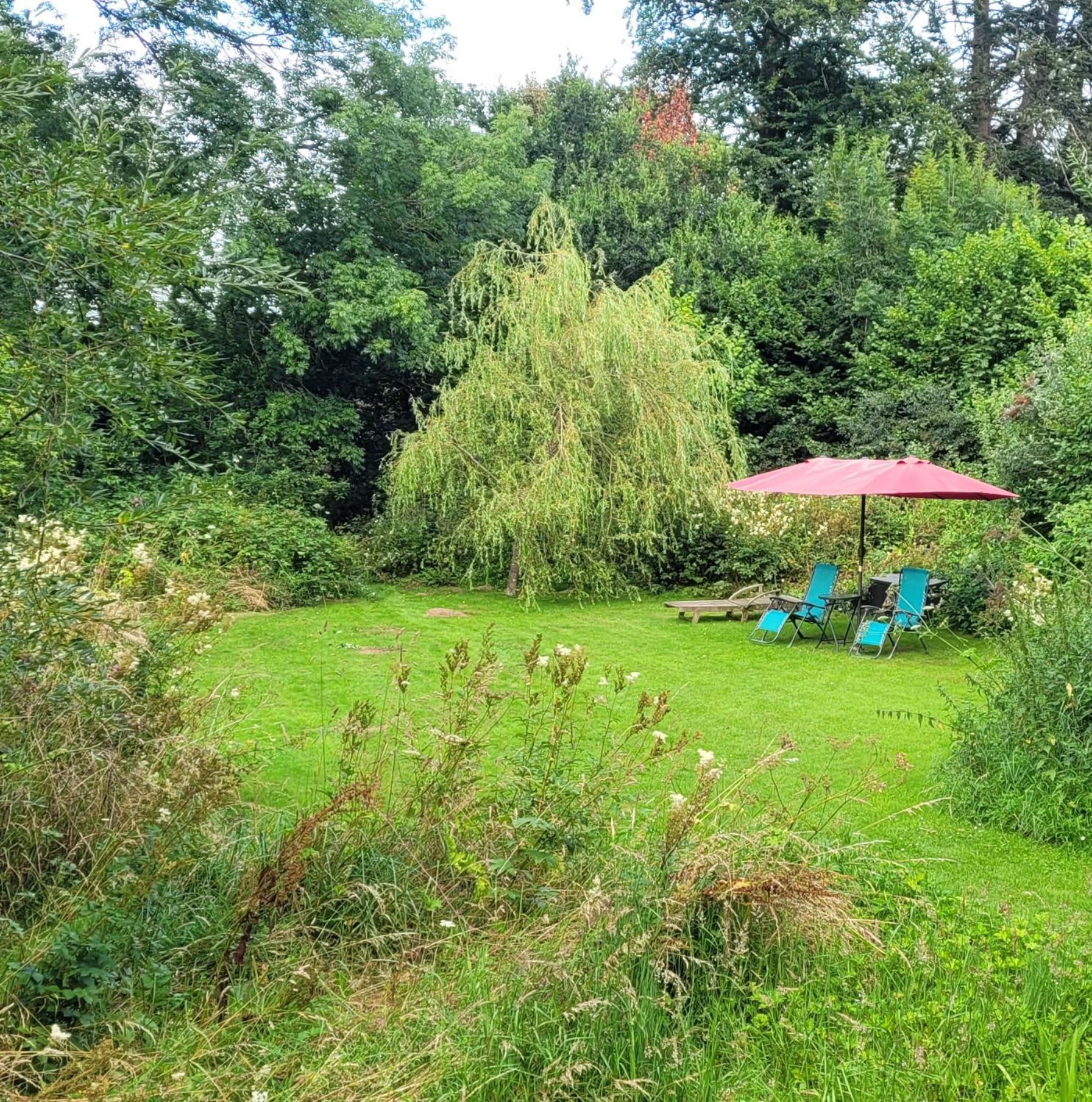 Kingsley Cottage - Beautiful Riverside Setting Beaworthy Экстерьер фото